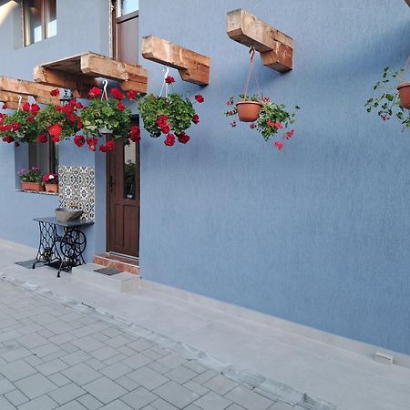 Villa Casa Rustica Saceleana Exterior foto